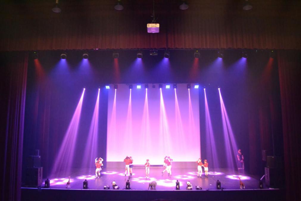 omega smoke systems, pro hazer co2, prosmoke 700,